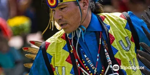 Museum of Indian Culture