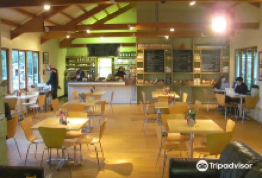 Crocus At Dorney购物图片