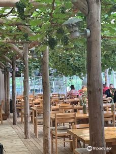 Vingaarden, Lille Gadegaard ( Vineyard )-阿克尔科拜