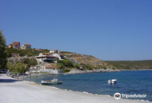 Agia Paraskevi Beach景点图片