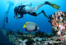 Maafushi Dive & Water Sports.景点图片