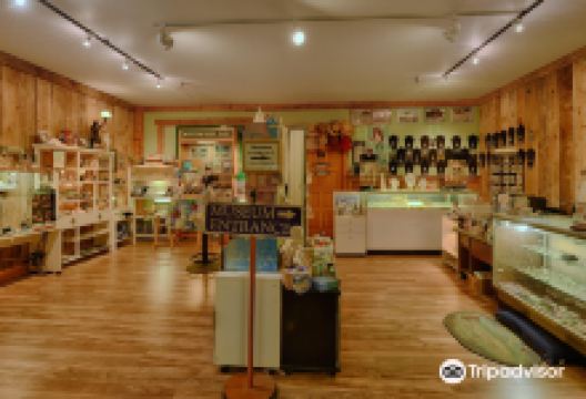 Sea Glass Museum景点图片