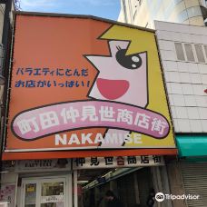 Machida Nakamise Shopping Street-町田市