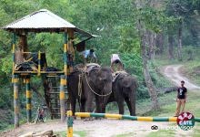 Gorumara National Park景点图片