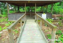 Wilson Botanical Gardens景点图片