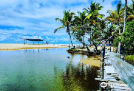 Paixao Beach景点图片