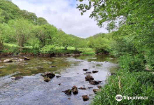 Tarr Steps景点图片