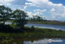 Dutton Island Preserve景点图片