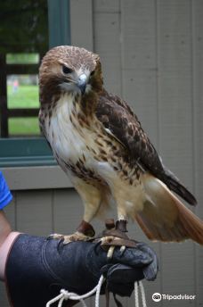 Ohio Bird Sanctuary-里奇兰县