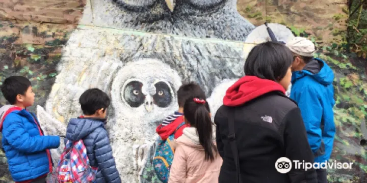 咕咕嚕博士貓頭鷹之家