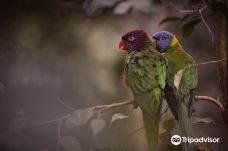 Butterfly Park Empuriabrava-Alt Emporda