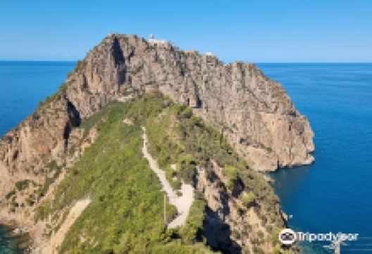 Pic des Singes景点图片