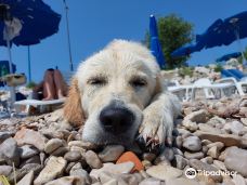 Monty's Dog Beach and Bar-茨里克韦尼察