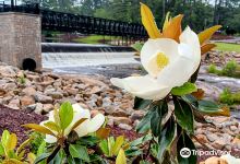 Gibson Pond Park景点图片