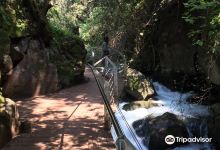 Banias Waterfall景点图片