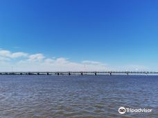 The Bridge Across the River Amur-哈巴罗夫斯克