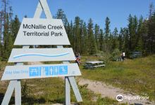 McNallie Creek Falls and Territorial Park景点图片