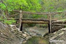 Barton Creek Greenbelt-奥斯汀