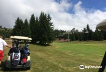 Morzine-Avoriaz Golf Club景点图片