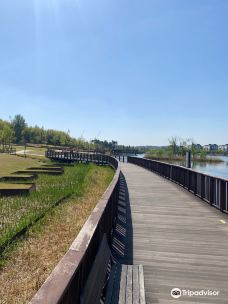 Dongtan Central Park-华城市