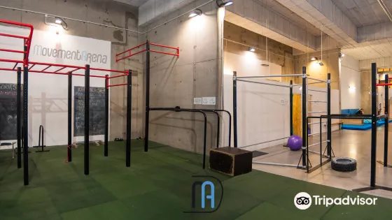 Movement Arena