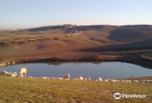 Azienda Agricola Sant'Anna dei Fratelli Sanna景点图片