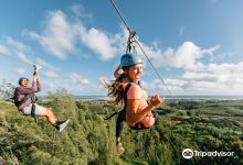 CLIMB Works Keana Farms - Zipline Tour景点图片