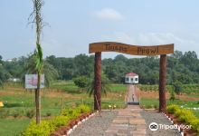 Jhansi Herbal Garden景点图片