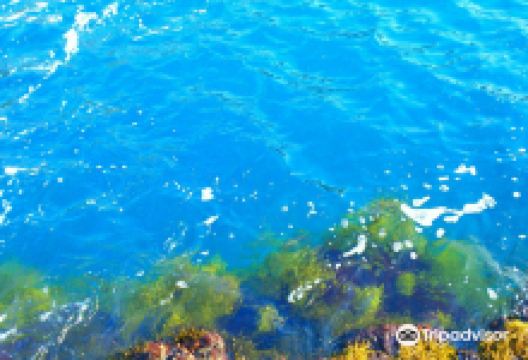 戸外浜景点图片