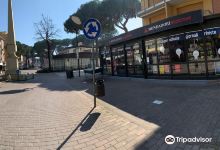 Libreria Le Querce购物图片
