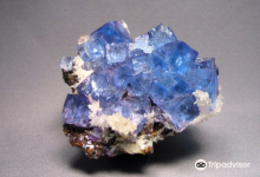 Ben E. Clement Mineral Museum景点图片