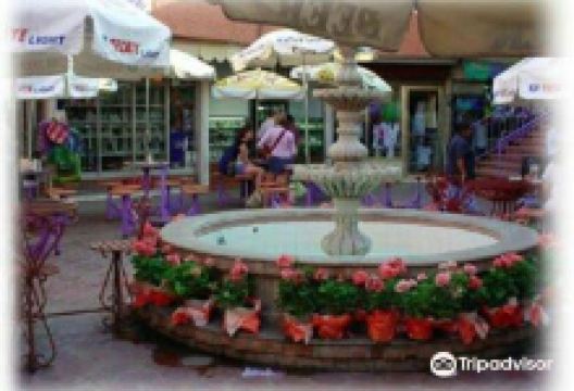 Mercado Maclovio Herrera景点图片