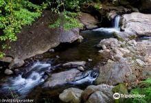 Meenvallam Water Falls景点图片