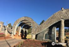 Gulele Botanical Garden景点图片