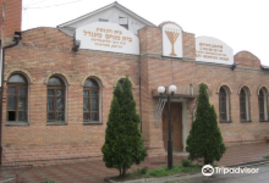 Lubavitcher Rebbe Menachem Mendel Donetsk Synangogue景点图片