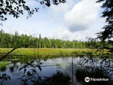 Mikisew Provincial Park-Machar