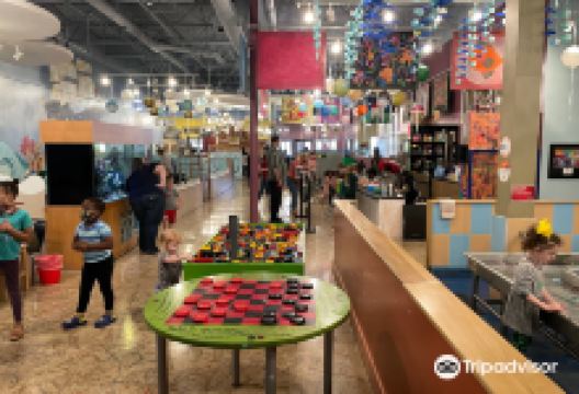 The Woodlands Children's Museum景点图片