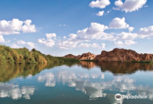 Picacho State Recreation Area景点图片