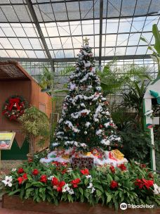 琉宫城蝴蝶园-本部町