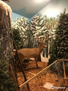 Wisconsin Logging Museum-欧克莱尔