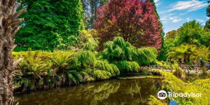 杜鵑花國家公園