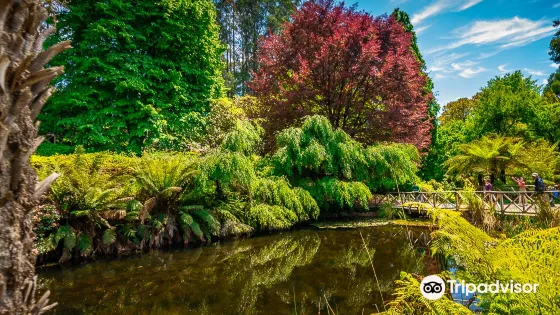 杜鵑花國家公園