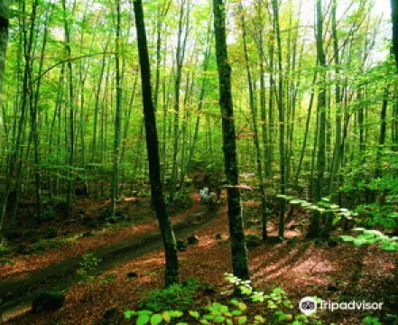 卡羅薩火山自然公園