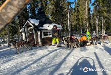 Soulmate Huskies景点图片