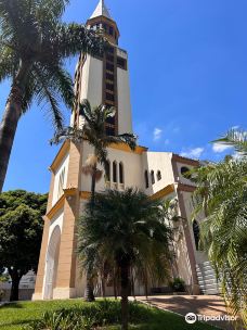 Catedral Metropolitana de Goiania-戈亚尼亚