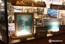 Angry Fish Gallery景点图片