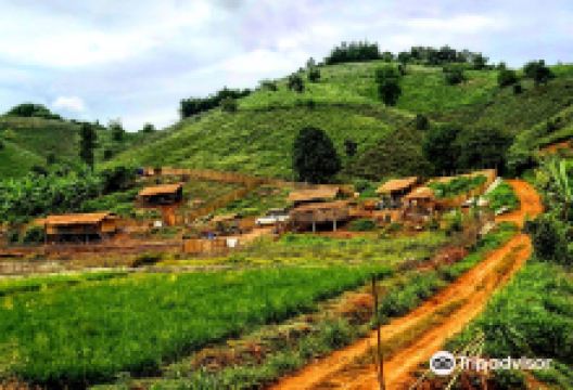 Elephant Steps Chiang Rai景点图片