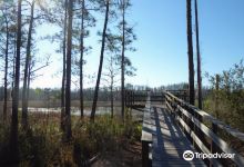 Johnson Pond Trailhead景点图片