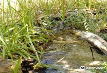 Thurman Flats Picnic Area景点图片