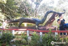 La Union Botanical Garden景点图片